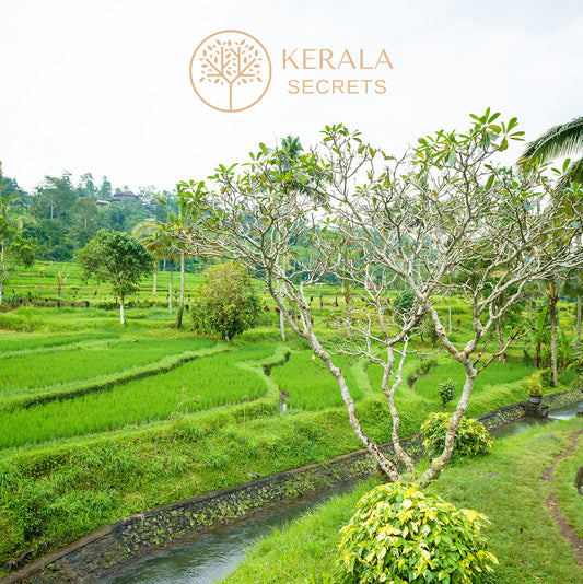 Why Kerala Secret Is the Most Trusted Kumkumadi Brand in India