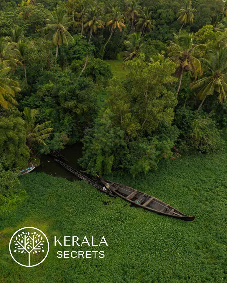 Organic Ayurvedic Cosmetics in India – What Makes Them Different