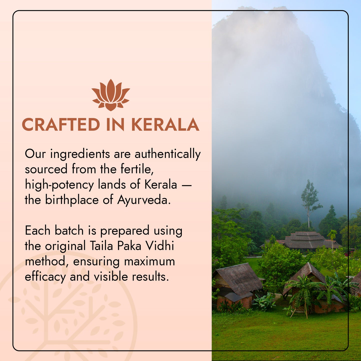 60 Day Miracle Bringadi Hair Oil