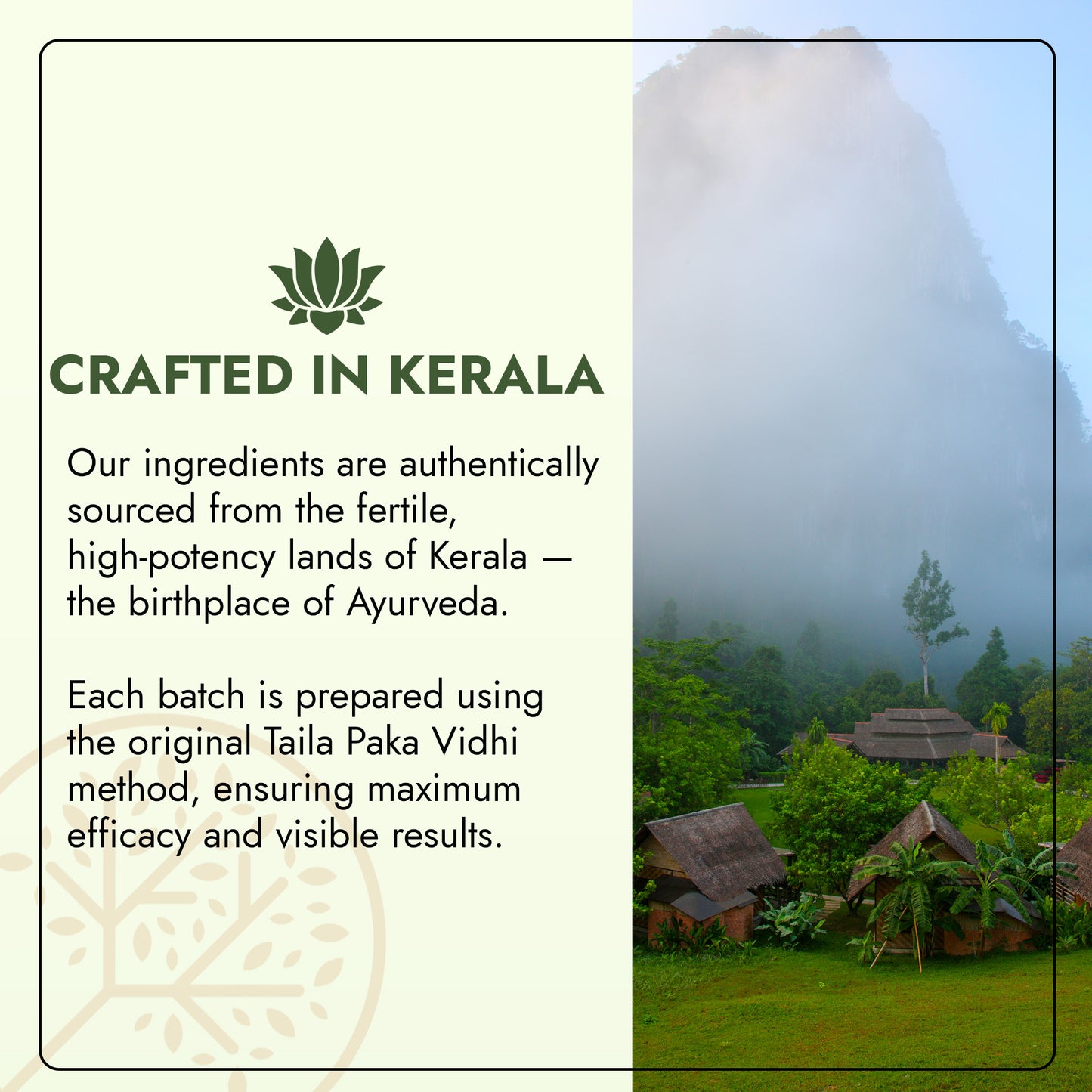 Keshamaya - Anti Dandruff Hair Oil