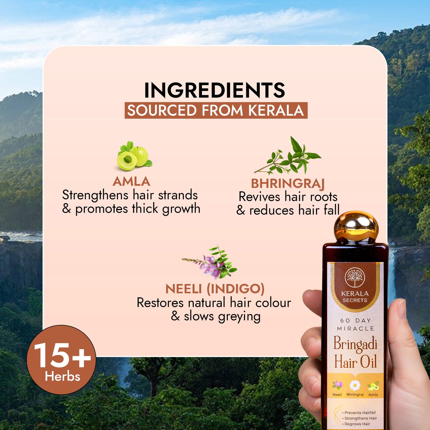 60 Day Miracle Bringadi Hair Oil